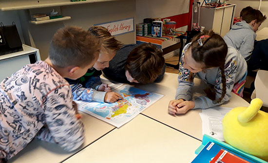 Groep 5-6