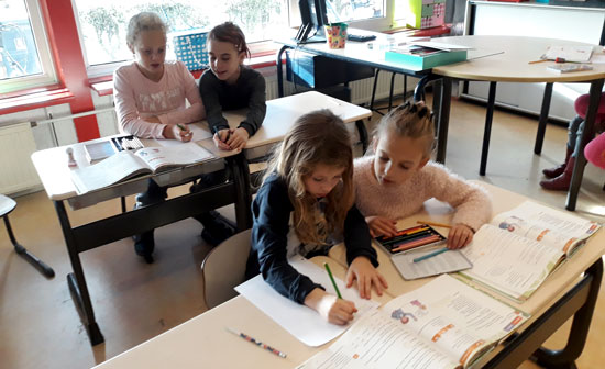 Groep 5-6