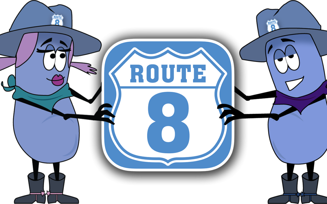 Route 8