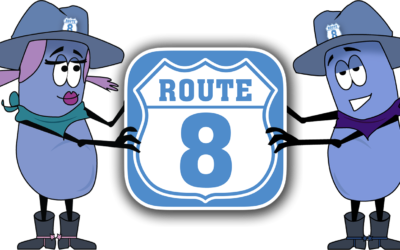 Route 8