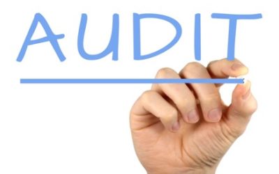 Auditverslag OBS de Horn