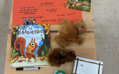Samen leren, samen groeien 🌱